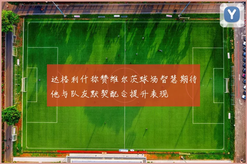 达格利什称赞维尔茨球场智慧期待他与队友默契配合提升表现