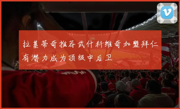 拉基蒂奇推荐武什科维奇加盟拜仁有潜力成为顶级中后卫