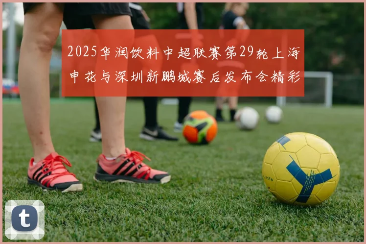 2025华润饮料中超联赛第29轮上海申花与深圳新鹏城赛后发布会精彩回顾与分析