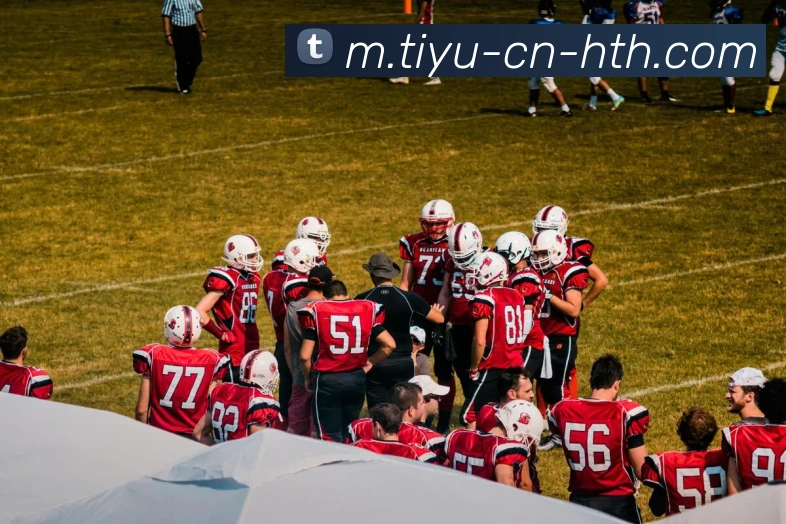 华体会体育发展历程