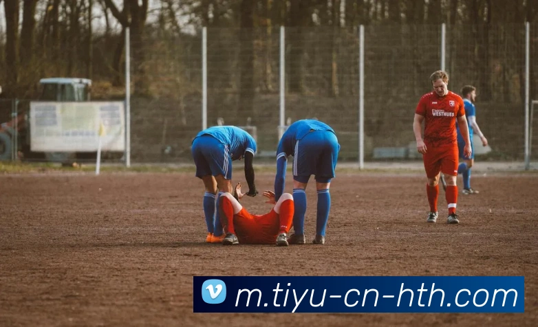 勒沃库森官方宣布签下红星17岁前锋达米亚诺维奇今夏加盟球队